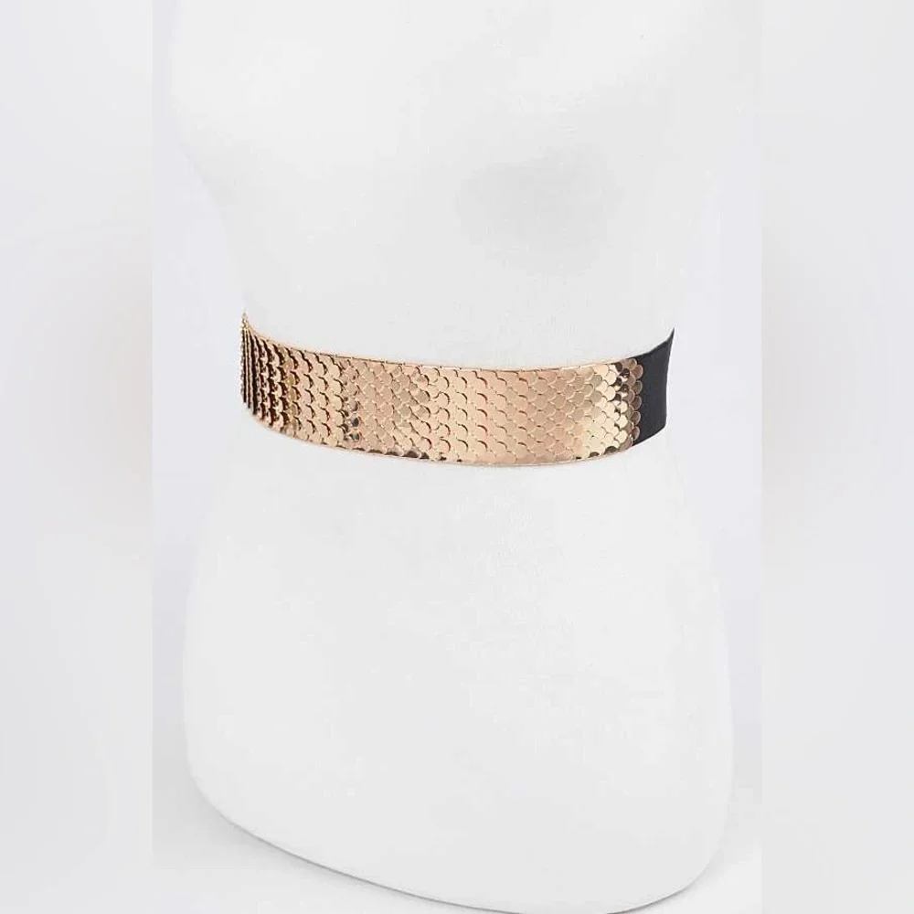 Metal Fashion Statement Belt